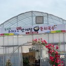 더리버온 네이버블로그