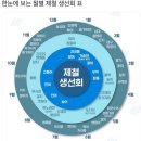 삼천포용궁어시장 [벌리상회] 활어회 회포장 추천 / 내돈내산