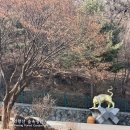 사직도서관 | 혼자 서울 여행 코스 추천, 종로도서관에서 인왕산 성곽길 산책 루트