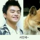 닮은사람들 이미지