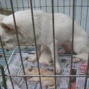 경동 모텔 이미지