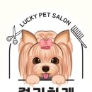 럭키하개 이미지