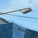 영도구 보건소 | 영도구 보건소 예비부부 예비부모 산전검사 방법 후기 결과