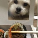 바르다 김선생 이미지