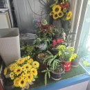 다인수제비 이미지