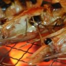 사랑방민박 이미지