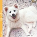 유미애 - 우리집 나리 이미지