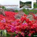완산-14 이미지
