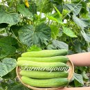 영은축산 이미지