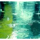 우리마차 이미지