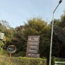 햇살나라유치원 | 17개월 48개월 아이들과 함께 서울랜드 탈수있는 놀이기구와 개장부터 폐장까지 후기 -1