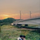 필름35 이미지