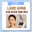 1 | 나비존 프락셀 1회 후기｜7일 회복·모공 변화 기록