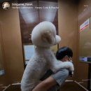 덕동민박 이미지