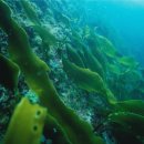 바다한의원 이미지