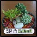 해찬솔농장 이미지