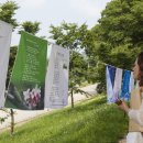 들꽃그리고향기