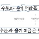 디자인 글꽃