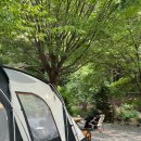 노리멍 | [충북 캠핑장] 괴산 화양숲노리캠핑장 후기