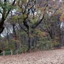 상림주유소 이미지