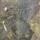 꿈속모텔 이미지