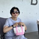 고양이유인잡화점