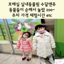 (주)수달앤쥬 이미지