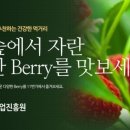 강산임업 - 춘천시 | 강산임업
