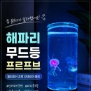 브 | 해파리 무드등 프르프브 젤리피쉬 조명 인테리어 램프 후기