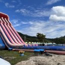 더몽상드 이미지