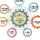 퀀텀파동센타 이미지