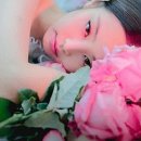 홍두콩이