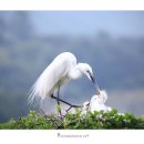 엄마밥줘 이미지