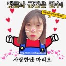 주식회사 아라케어 | 두피가려움샴푸❤️ 아라씨 흑마늘샴푸 두피케어관리, 탈모샴푸/비듬샴푸추천