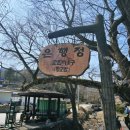 대흥 은행나무길 이미지