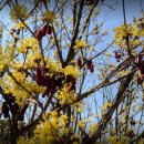 지당농장 이미지