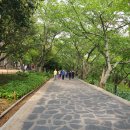 꽃바위아구찜 이미지