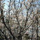 불암치안센터 이미지