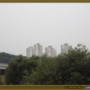 월평공원 습지길 이미지