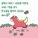적토마 짐 | 2026 갤럭시 테마 추천｜100원 이벤트 구매·적용 후기 (달려라 2026)