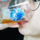 도라지배즙 추천 녹색식품 기침감기빨리낫는법