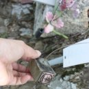 오지할머니 이미지