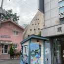 라푼젤 | 라푼젤 명작 동화 어린이 뮤지컬 대학로 아동극 반짝반짝 라푼젤 관람 후기