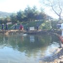 진우낚시터 이미지