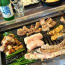 토성역1번출구 | 부산 대신동 깡통시장 곱창맛집 당일도축 한우로 가성비 보수동 술집 소일창 부민점