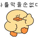 쏘바이네일 이미지