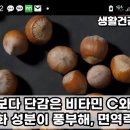 20241118-감 효능 궁합 이미지