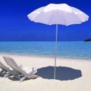 환상의 섬 이미지