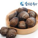 푸릇푸릇 이미지