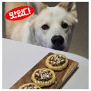 [율정]영양만점 애견 수제간식 만들기2차 | 강아지 수제간식 피자, 오븐으로 고퀄리티 간식 만들기